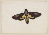 TvB T 083
<br/>
Mot
<br/>
<em>Holsteyn, Pieter II (1614-1673)</em>